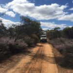 Australian Goldfields Manuka MGO 30+ site with ute driving along a dirt track in the Australian Goldfields, home of Bee Greedy's premium honey production